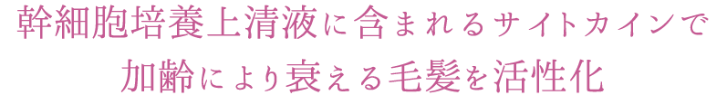 幹細胞培養上清液に含まれるサイトカインで加齢により衰える毛髪を活性化